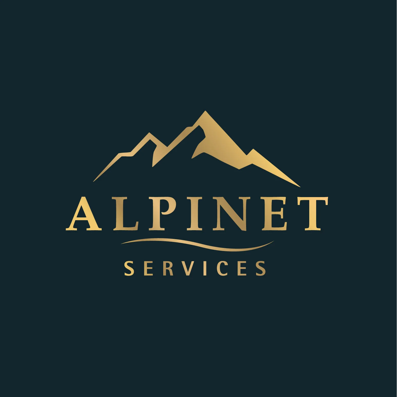 Alpinet Services logo