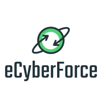 eCyberForce LLC logo