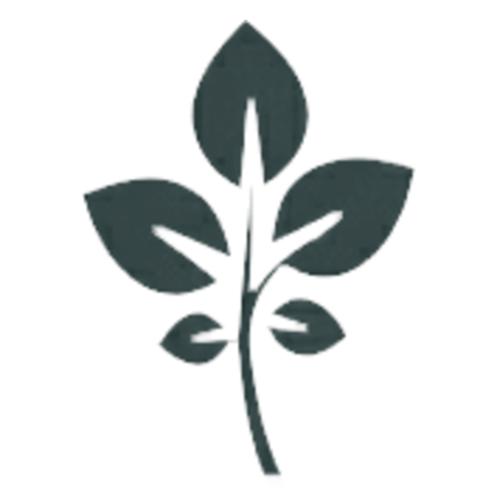 GrapeVine Social logo